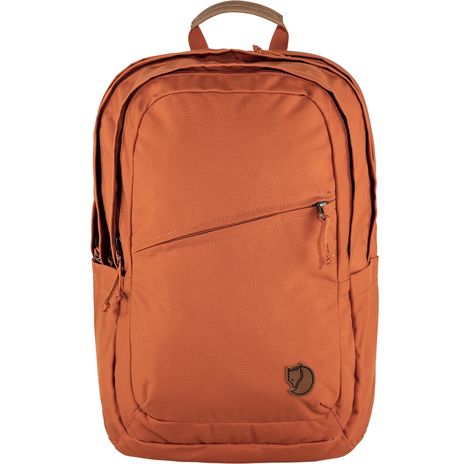 Raposa Da Montanha Terracota Brown Fox 28