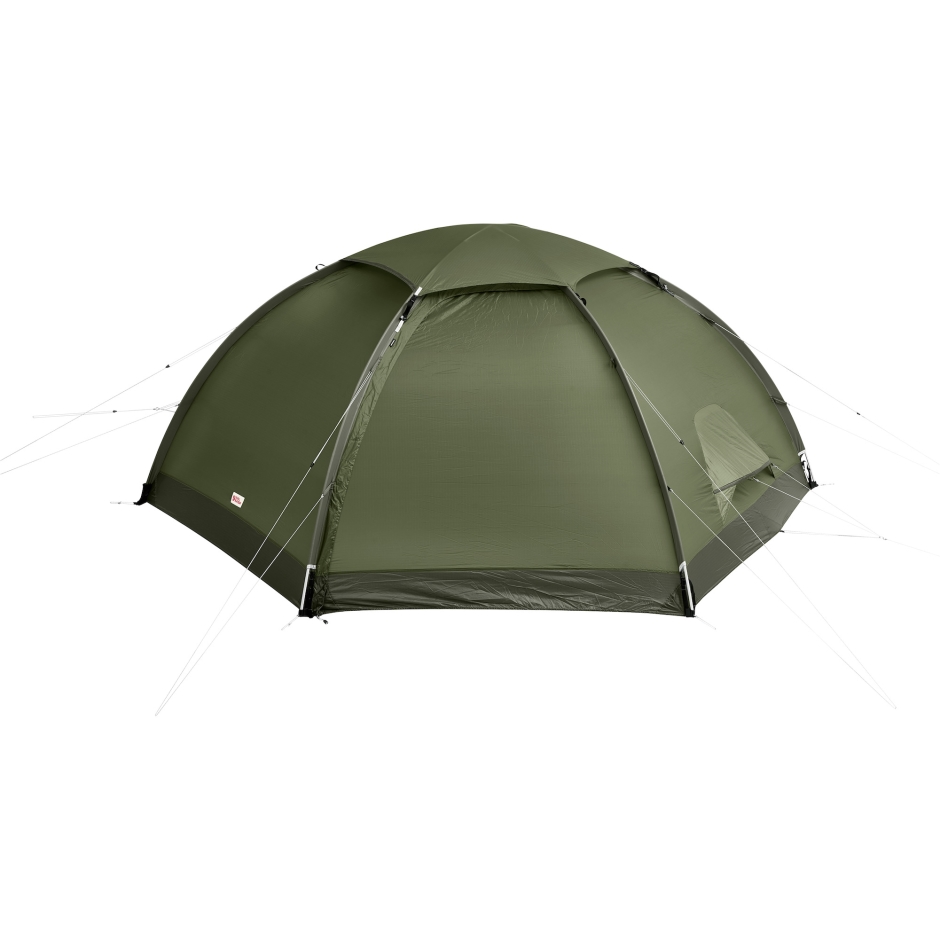Raposa Da Montanha Verde Pinheiro Abisko Dome 2